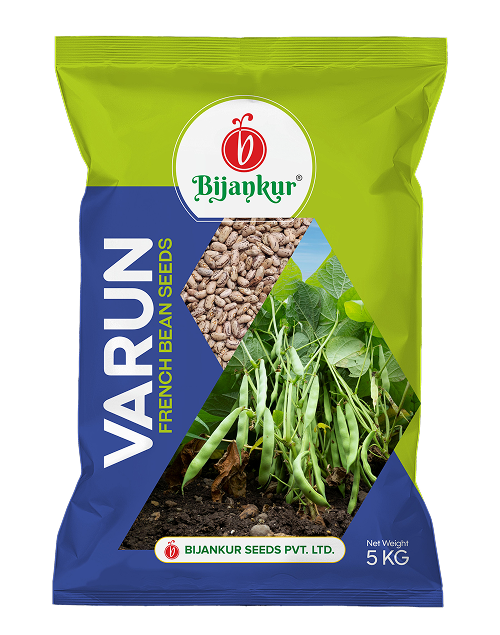 Rajma Seeds - Varun